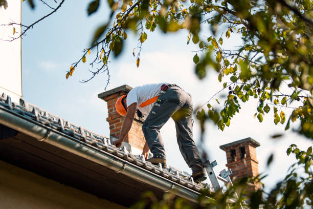 Roof Gutter Cleaning in Whitney Point, NY